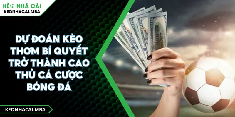 Dự Đoán Kèo Thơm Bí Quyết Trở Thành Cao Thủ Cá Cược Bóng Đá 1 Dự Đoán Kèo Thơm Bí Quyết Trở Thành Cao Thủ Cá Cược Bóng Đá