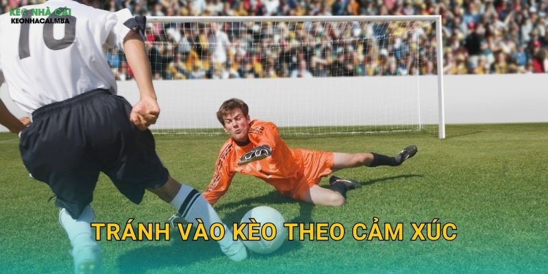 Tránh Vào Kèo Theo Cảm Xúc - Giữ Vững Lý Trí Cùng Keo nha cai MBA 1 Tránh Vào Kèo Theo Cảm Xúc – Giữ Vững Lý Trí Cùng Keo nha cai MBA