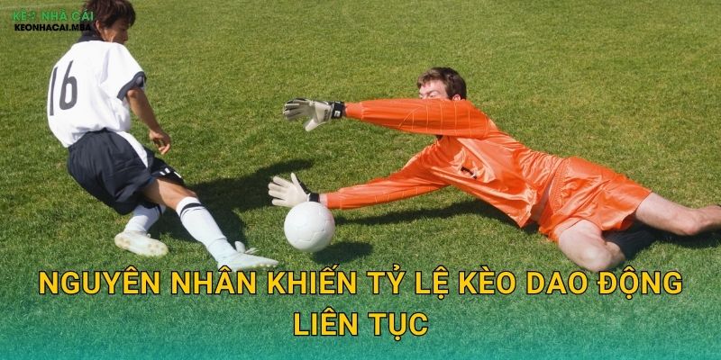 Mẹo Đánh Kèo Khi Kèo Rung - Bắt Sóng Thị Trường Tại Keo nha cai MBA 2 Nguyên nhân khiến tỷ lệ kèo dao động liên tục